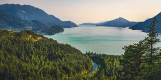 Background blur effect image