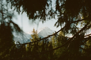 Background blur effect image