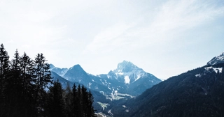 Background blur effect image