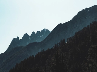 Background blur effect image