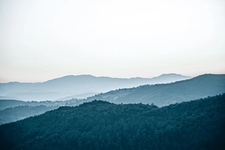 Background blur effect image