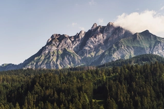 Background blur effect image